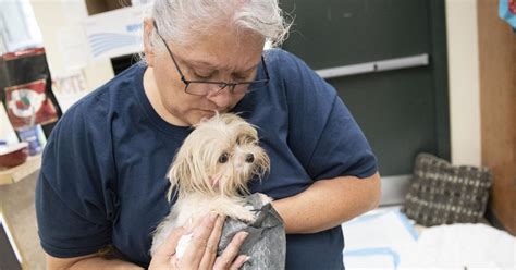 Skagit valley humane society - HSSV continues to grow and work to meet the demands of animal advocacy in Skagit Valley. Please help support our campaign to make much-needed improvements to our facility. 360-757-0445